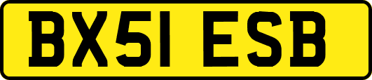 BX51ESB