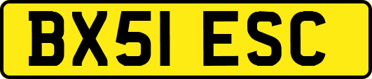 BX51ESC