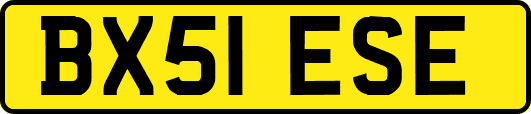 BX51ESE