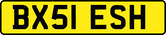 BX51ESH