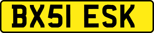 BX51ESK