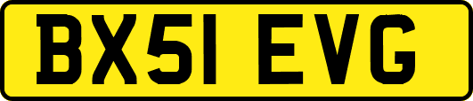 BX51EVG