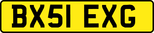 BX51EXG