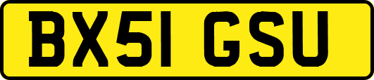 BX51GSU