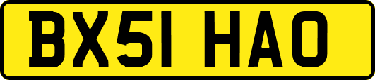 BX51HAO