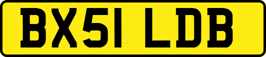 BX51LDB