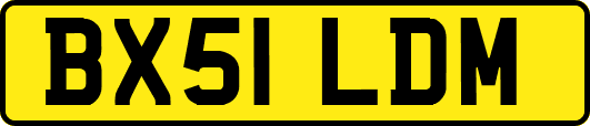 BX51LDM