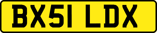 BX51LDX