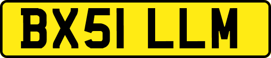 BX51LLM