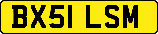 BX51LSM