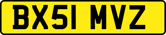 BX51MVZ