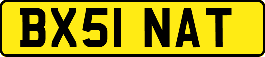 BX51NAT