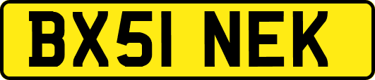 BX51NEK