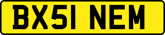 BX51NEM