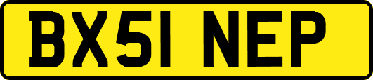 BX51NEP