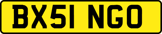 BX51NGO