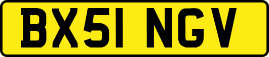 BX51NGV