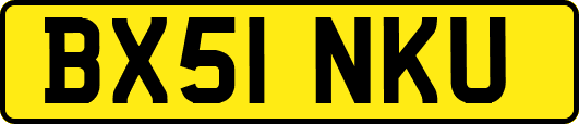 BX51NKU