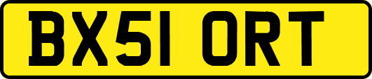 BX51ORT