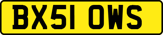 BX51OWS