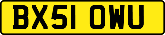 BX51OWU