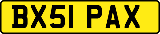 BX51PAX