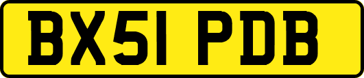 BX51PDB