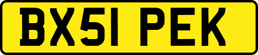 BX51PEK