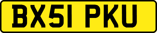 BX51PKU