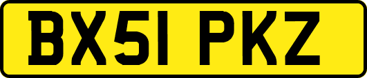 BX51PKZ