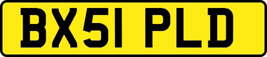 BX51PLD