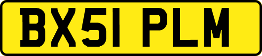 BX51PLM