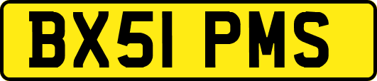 BX51PMS