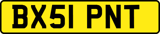 BX51PNT