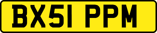 BX51PPM