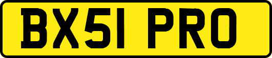 BX51PRO