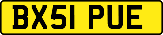 BX51PUE