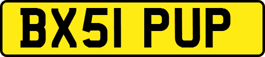 BX51PUP