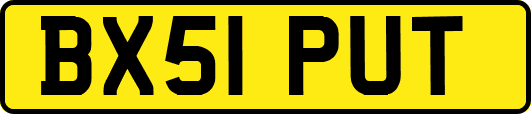 BX51PUT