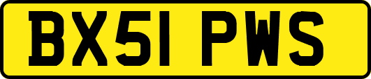 BX51PWS