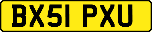 BX51PXU