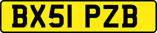 BX51PZB