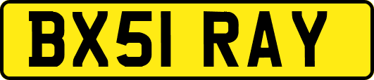 BX51RAY