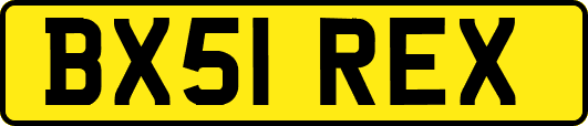 BX51REX