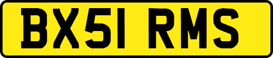 BX51RMS