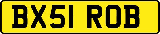 BX51ROB