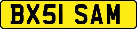 BX51SAM