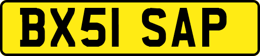 BX51SAP