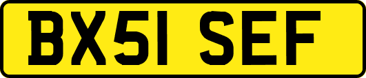 BX51SEF