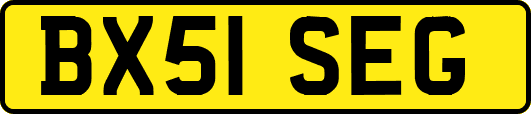 BX51SEG